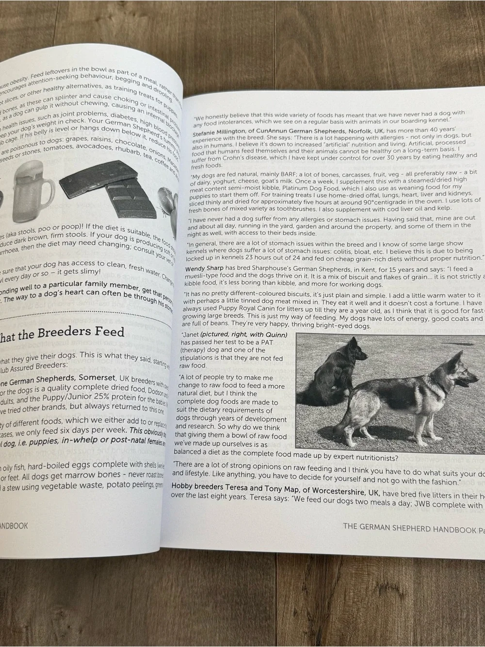 The German Shepherd Handbook Linda Whitwam Canine Handbook Series 2020 Dogs